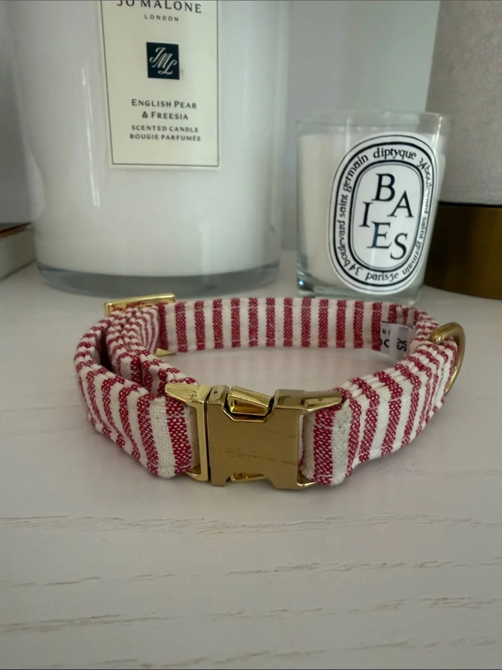 The Foggy Dog Gold Buckle Collar with Red and White Stripes XS